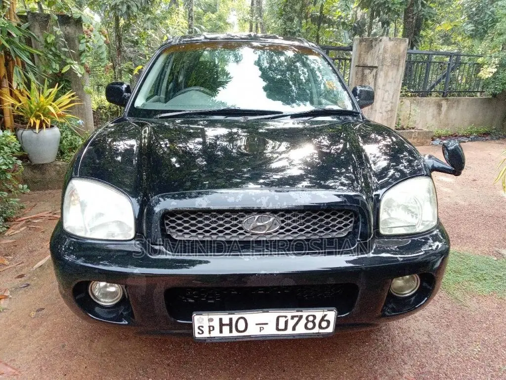 Hyundai Santa Fe 2003 SUV (Used)