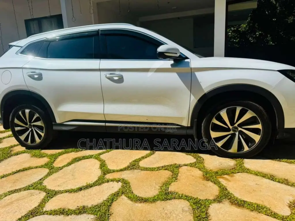 BYD Sealion 6 2025 SUV (Used)