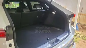 Toyota Harrier 2024 SUV (Used)