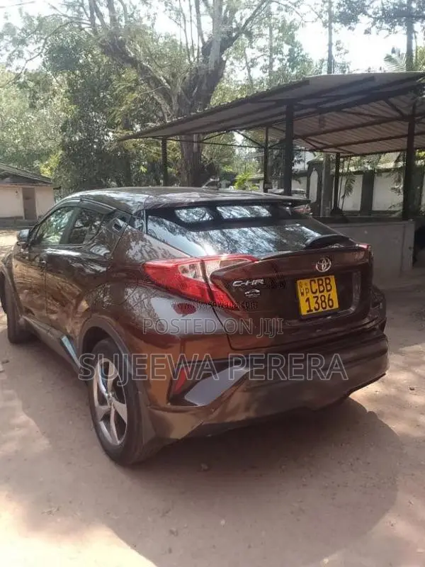 Toyota CHR 2018 SUV (Used)