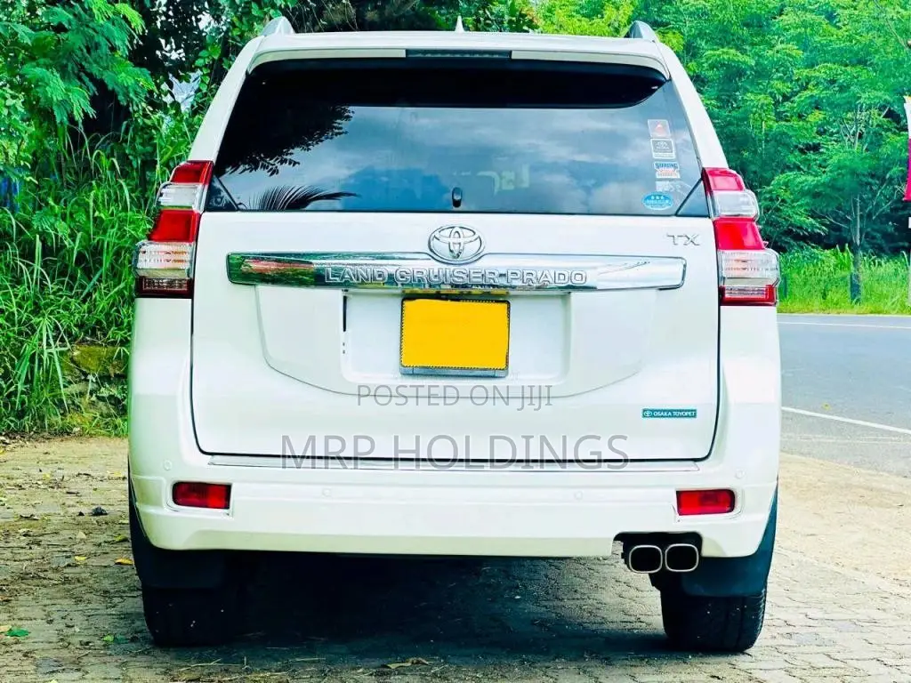 Toyota Land Cruiser Prado 150 Brunocross 2017 SUV (Used)