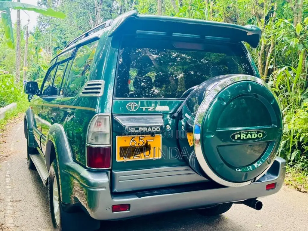 Toyota Land Cruiser 95 Prado TZ 1996 SUV (Used)