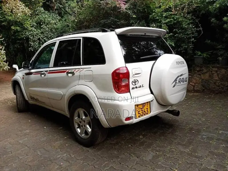 Toyota RAV4 LIMITED EDITION 2004 SUV (Used)