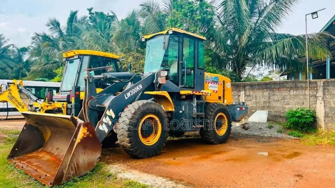 Other LW300HN 2021 Heavy-Duty (Used)