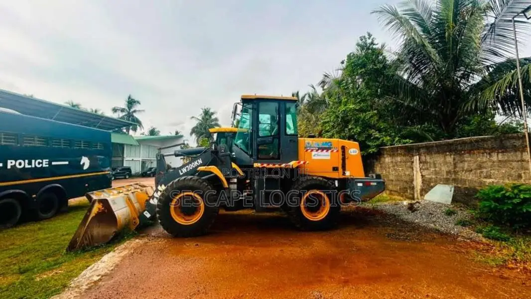 Other LW300HN 2021 Heavy-Duty (Used)