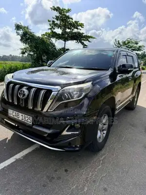 Toyota Land Cruiser Prado TX 150 2012 SUV (Used)