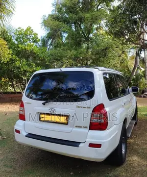 Hyundai Terracan 2005 SUV (Used)