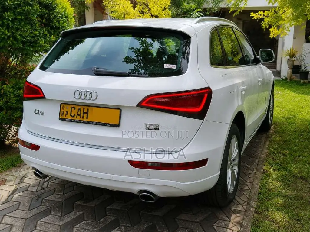 Audi Q5 2015 SUV (Used)