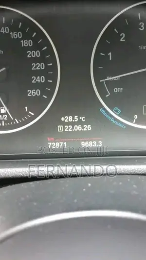 BMW X1 2017 SUV (Used)