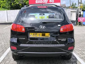 Hyundai Santa Fe 2007 SUV (Used)