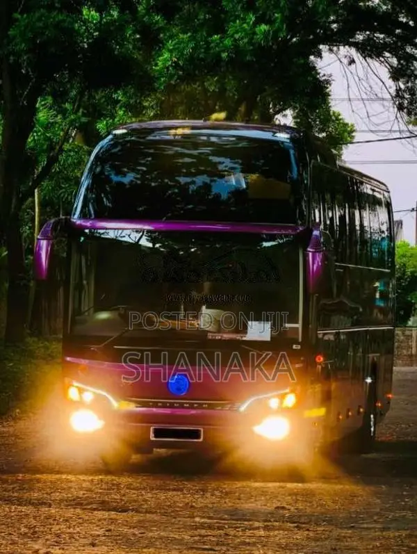 Micro GOLDEN DRAGON TRIUMPH 2019 Bus (Used)