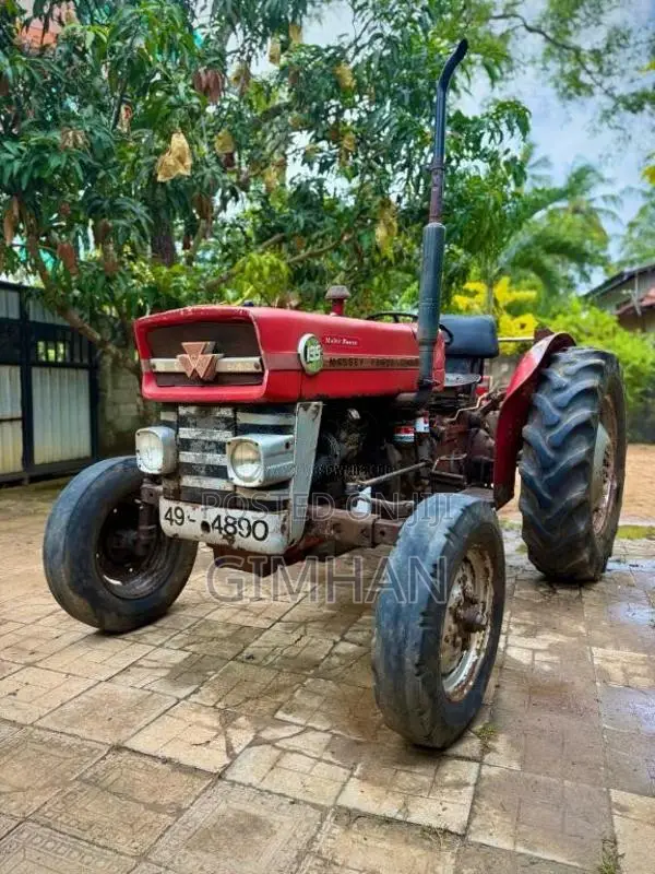 Massey-Ferguson MF135D 1984 Tractor (Used)