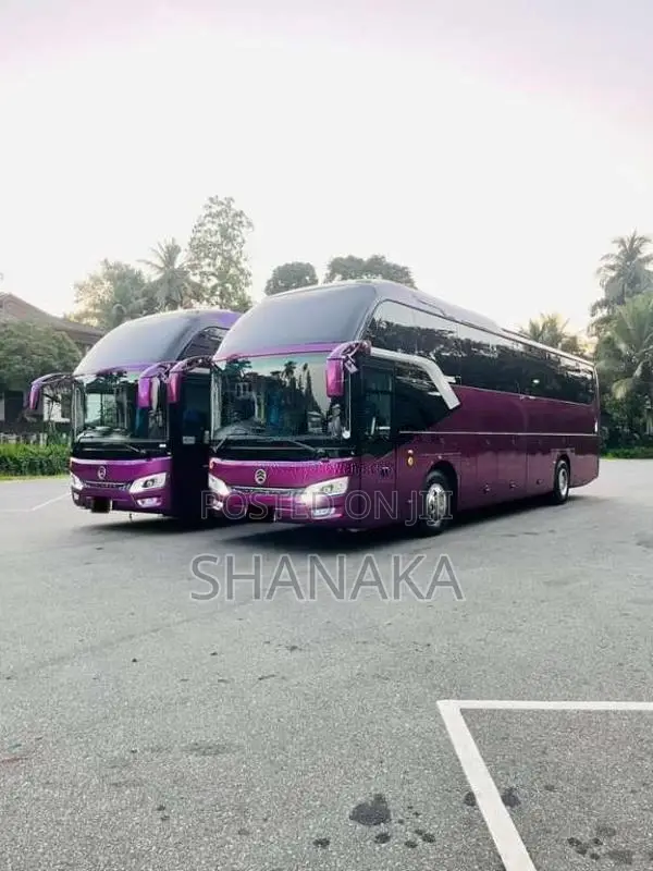 Micro GOLDEN DRAGON TRIUMPH 2019 Bus (Used)