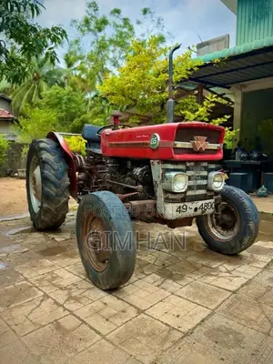 Massey-Ferguson MF135D 1984 Tractor (Used)
