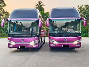 Micro GOLDEN DRAGON TRIUMPH 2019 Bus (Used)