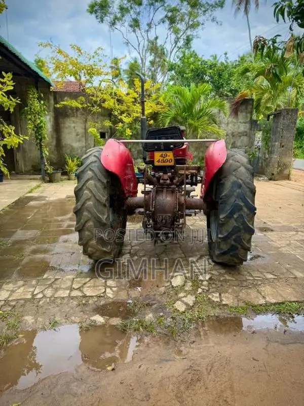 Massey-Ferguson MF135D 1984 Tractor (Used)