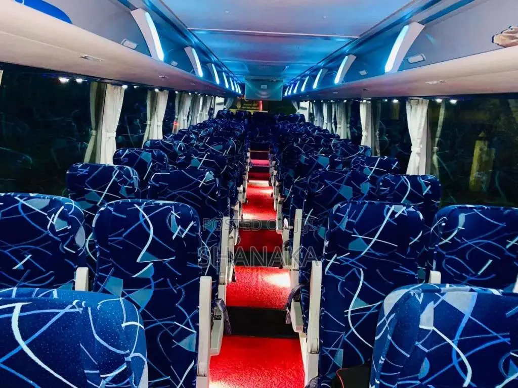 Micro GOLDEN DRAGON TRIUMPH 2019 Bus (Used)