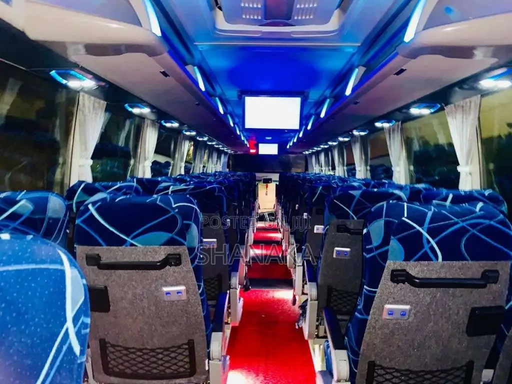 Micro GOLDEN DRAGON TRIUMPH 2019 Bus (Used)