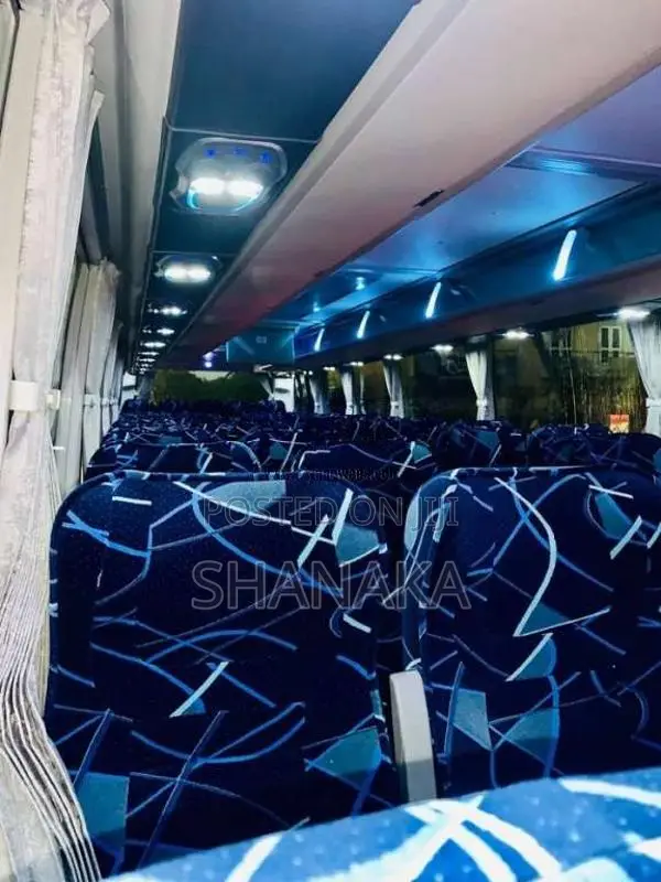 Micro GOLDEN DRAGON TRIUMPH 2019 Bus (Used)