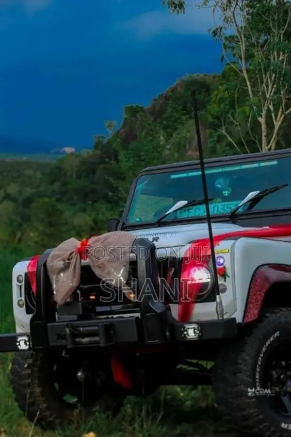 Land-Rover Defender 1957 SUV (Used)