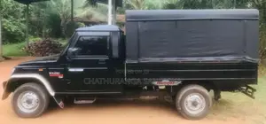 Mahindra Bolero 2019 Pickup (Used)