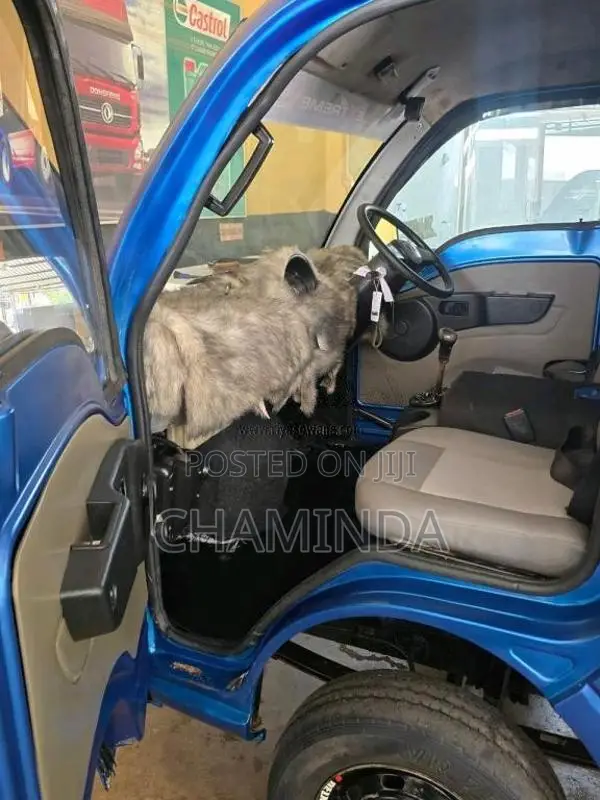 Tata Dimo Batta 2016 Lorry (Used)