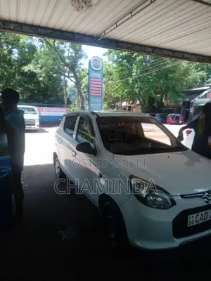 Suzuki Alto 2014 Car (Used)