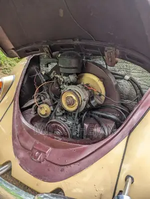 Volkswagen Beetle 1960 Car (Used)