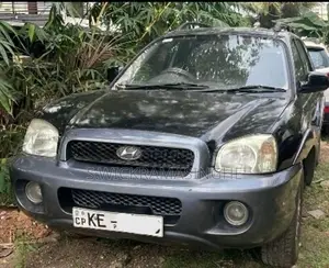 Hyundai Santa Fe 2002 SUV (Used)