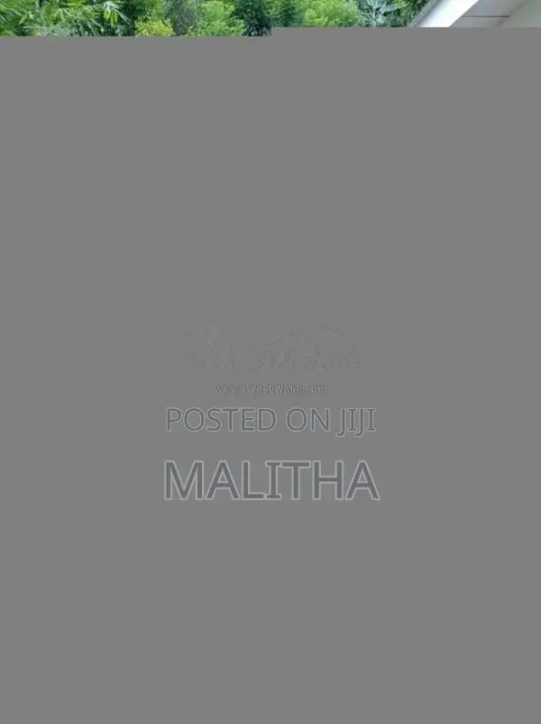 Mahindra ALFA 2019 Three Wheel (Used)