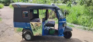 Piaggio Ape 2010 Three Wheel (Used)