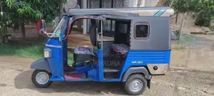 Piaggio Ape 2010 Three Wheel (Used)