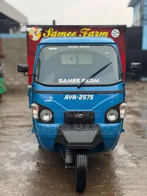 Mahindra Alfa 2026 Three Wheel (Used)