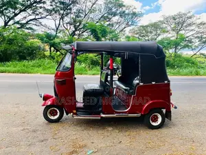 Bajaj RE 2008 Three Wheel (Used)
