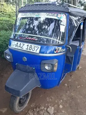 Piaggio Ape 2015 Three Wheel (Used)