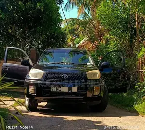 Toyota RAV4 2002 SUV (Used)