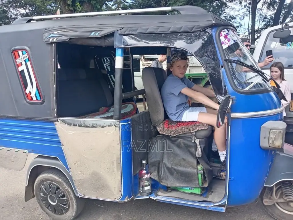 Piaggio Ape 2015 Three Wheel (Used)