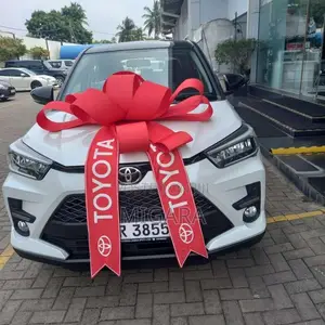 Toyota Raize 2025 SUV (Used)