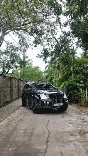 Micro Ssangyong Rexton 2009 SUV (Used)