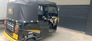 TVS King 2011 Three Wheel (Used)