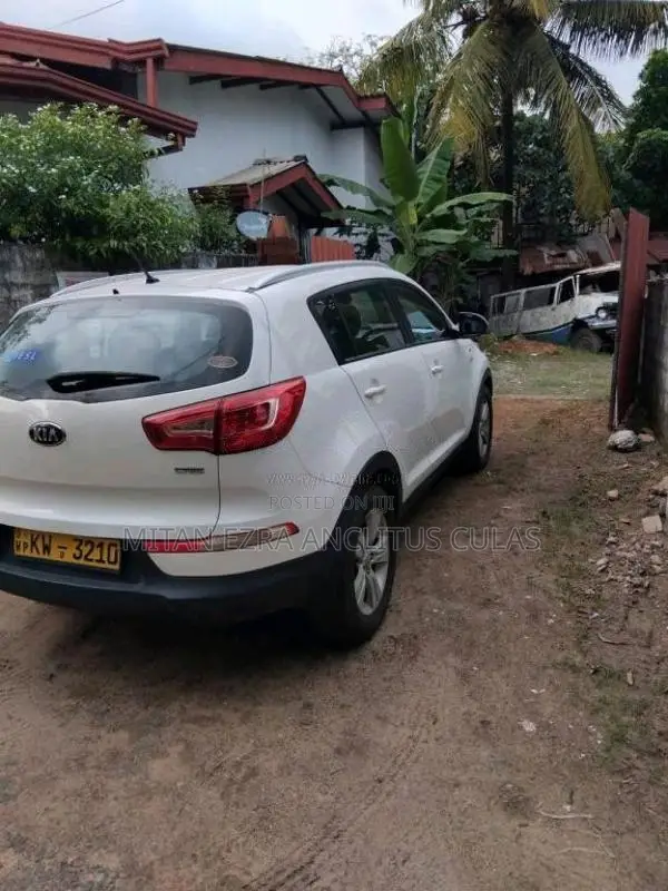 Kia Sportage 2013 SUV (Used)