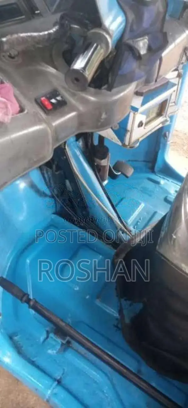TVS King 2010 Three Wheel (Used)