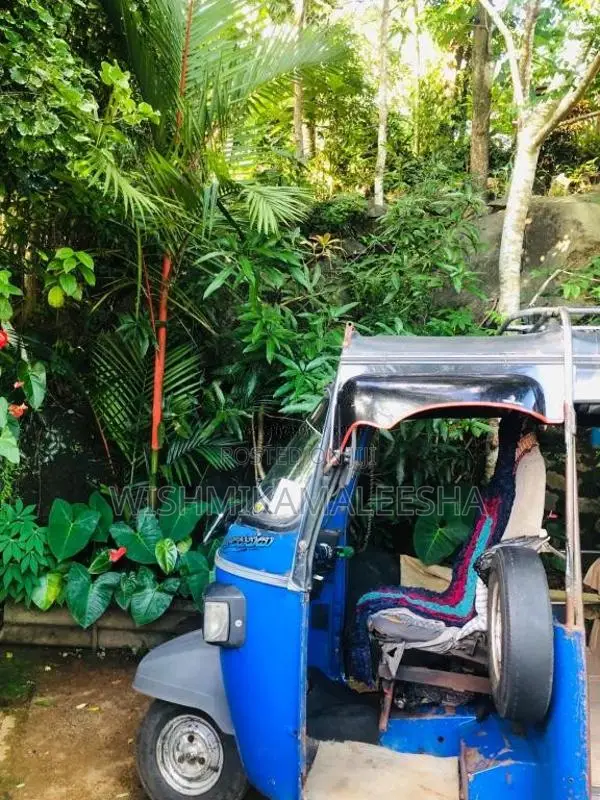 Piaggio Ape 2014 Three Wheel (Used)