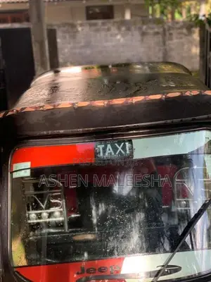 TVS King 2016 Three Wheel (Used)