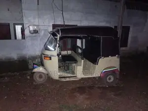 Bajaj RE 2 Stroke 1993 Three Wheel (Used)