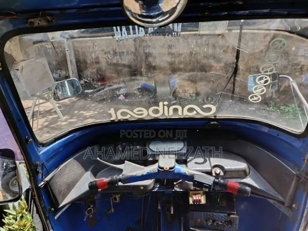 Piaggio Ape 2010 Three Wheel (Used)