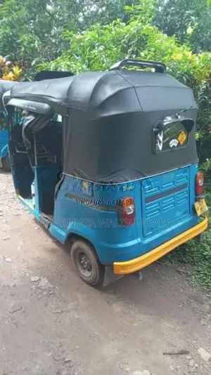 TVS King 2016 Three Wheel (Used)