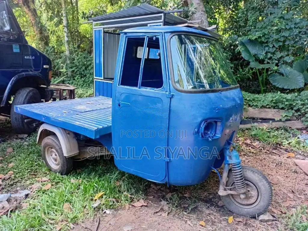 Piaggio Ape 2017 Three Wheel (Used)