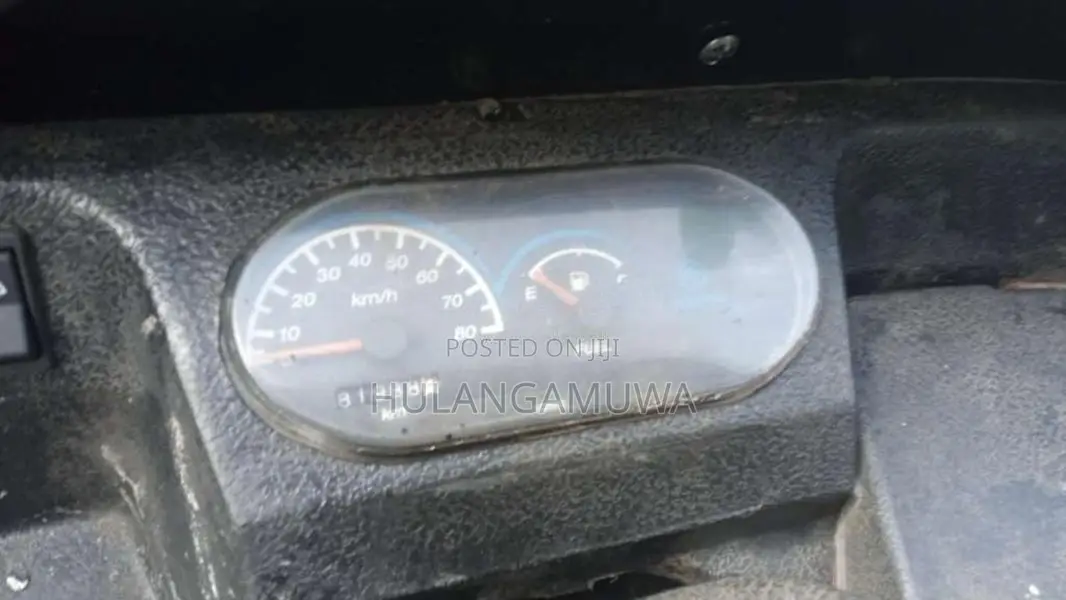 Piaggio Ape 2010 Three Wheel (Used)