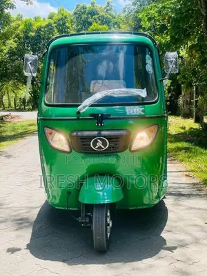 Other Rik 2026 Three Wheel (Used)